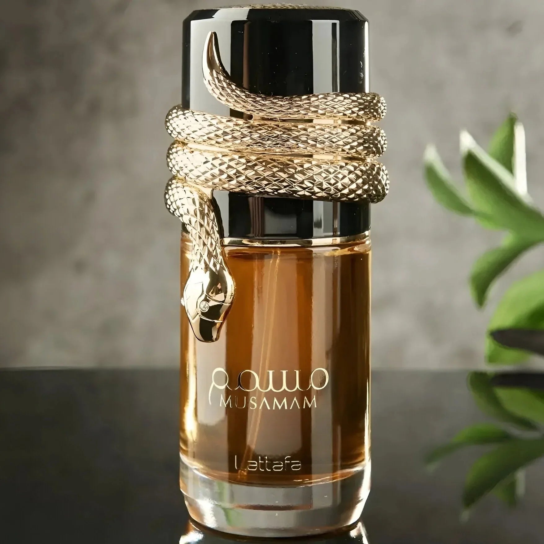 [[{"value":"Inspiration Dubai"}]] - 