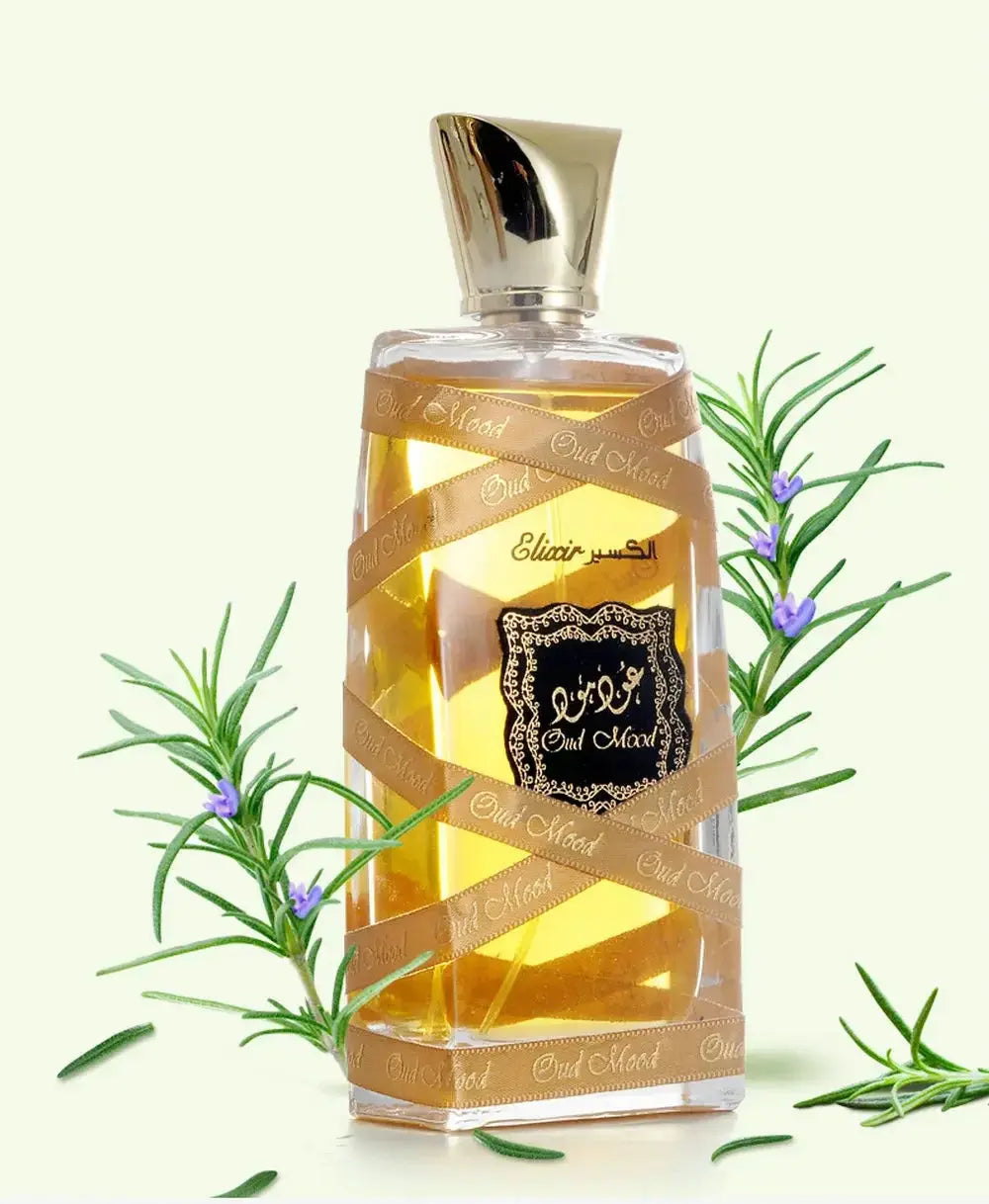[[{"value":"Nubela"}]] Nubela Fragrance